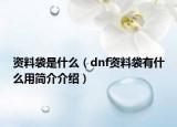 資料袋是什么（dnf資料袋有什么用簡介介紹）