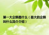 第一大企鵝是什么（最大的企鵝叫什么簡介介紹）