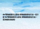 dnf寵物裝備怎么獲得(寵物裝備獲得方法一覽介紹 dnf寵物裝備怎么獲得 寵物裝備獲得方法一覽詳細情況如何)