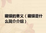藏銀的意義（藏銀是什么簡介介紹）