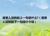 返景入深林的上一句是什么?（返景入深林的下一句簡(jiǎn)介介紹）