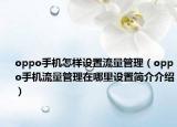 oppo手機怎樣設(shè)置流量管理（oppo手機流量管理在哪里設(shè)置簡介介紹）