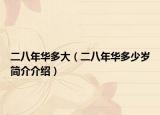 二八年華多大（二八年華多少歲簡介介紹）