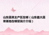 山東蔬菜主產(chǎn)區(qū)在哪（山東最大蔬菜基地在哪里簡(jiǎn)介介紹）
