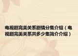 電視劇完美關(guān)系劇情分集介紹（電視劇完美關(guān)系共多少集簡(jiǎn)介介紹）