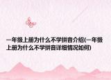 一年級上冊為什么不學(xué)拼音介紹(一年級上冊為什么不學(xué)拼音詳細(xì)情況如何)