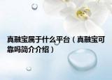 真融寶屬于什么平臺(tái)（真融寶可靠嗎簡(jiǎn)介介紹）