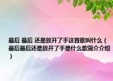 最后 最后 還是放開(kāi)了手這首歌叫什么（最后最后還是放開(kāi)了手是什么歌簡(jiǎn)介介紹）