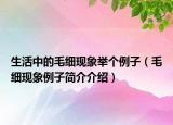 生活中的毛細(xì)現(xiàn)象舉個(gè)例子（毛細(xì)現(xiàn)象例子簡介介紹）