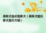 茶杯犬會長到多大（茶杯犬能長多大簡介介紹）