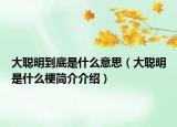 大聰明到底是什么意思（大聰明是什么梗簡介介紹）
