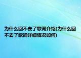 為什么回不去了歌詞介紹(為什么回不去了歌詞詳細情況如何)