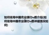 如何使用中國農(nóng)業(yè)銀行u盾介紹(如何使用中國農(nóng)業(yè)銀行u盾詳細情況如何)