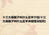 十三太保瞎子叫什么名字介紹(十三太保瞎子叫什么名字詳細(xì)情況如何)