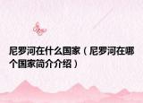 尼羅河在什么國家（尼羅河在哪個國家簡介介紹）