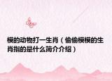 模的動物打一生肖（偷偷模模的生肖指的是什么簡介介紹）