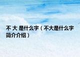 不 大 是什么字（不大是什么字簡(jiǎn)介介紹）