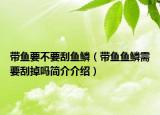 帶魚要不要刮魚鱗（帶魚魚鱗需要刮掉嗎簡介介紹）