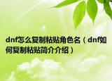 dnf怎么復(fù)制粘貼角色名（dnf如何復(fù)制粘貼簡(jiǎn)介介紹）