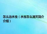 怎么治水蟲（水蟲怎么消滅簡介介紹）