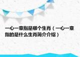 一心一意指是哪個生肖（一心一意指的是什么生肖簡介介紹）