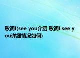 歌詞I(see you介紹 歌詞I see you詳細(xì)情況如何)