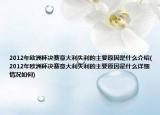 2012年歐洲杯決賽意大利失利的主要原因是什么介紹(2012年歐洲杯決賽意大利失利的主要原因是什么詳細(xì)情況如何)