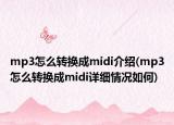 mp3怎么轉(zhuǎn)換成midi介紹(mp3怎么轉(zhuǎn)換成midi詳細(xì)情況如何)