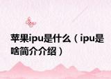 蘋果ipu是什么（ipu是啥簡介介紹）
