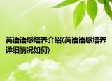 英語語感培養(yǎng)介紹(英語語感培養(yǎng)詳細(xì)情況如何)