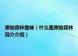 原始森林是啥（什么是原始森林簡介介紹）