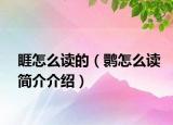 睚怎么讀的（鹮怎么讀簡(jiǎn)介介紹）