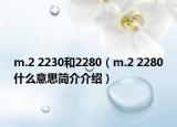 m.2 2230和2280（m.2 2280什么意思簡介介紹）