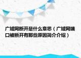 廣域網(wǎng)斷開是什么意思（廣域網(wǎng)端口被斷開有那些原因簡介介紹）