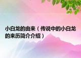 小白龍的由來（傳說中的小白龍的來歷簡(jiǎn)介介紹）