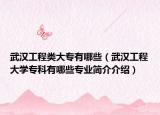 武漢工程類(lèi)大專(zhuān)有哪些（武漢工程大學(xué)專(zhuān)科有哪些專(zhuān)業(yè)簡(jiǎn)介介紹）
