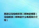 西游記馮紹峰扮演二郎神是哪版（馮紹峰演二郎神是什么電視簡介介紹）