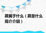 菽屬于什么（菽是什么簡(jiǎn)介介紹）