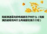 陸毅演諸葛亮的電視劇名字叫什么（陸毅演的諸葛亮叫什么電視劇名簡介介紹）