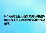 NDS海賊王巨人戰(zhàn)爭歡慶島介紹(NDS海賊王巨人戰(zhàn)爭歡慶島詳細情況如何)