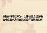 農(nóng)村的雞吃起來為什么比較香介紹(農(nóng)村的雞吃起來為什么比較香詳細(xì)情況如何)