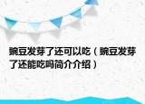 豌豆發(fā)芽了還可以吃（豌豆發(fā)芽了還能吃嗎簡介介紹）