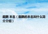扁鵲 本名（扁鵲的本名叫什么簡介介紹）