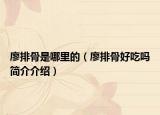 廖排骨是哪里的（廖排骨好吃嗎簡(jiǎn)介介紹）