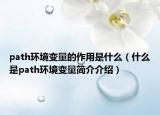 path環(huán)境變量的作用是什么（什么是path環(huán)境變量簡(jiǎn)介介紹）