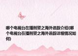 哪個電視臺在播刑警之海外追蹤介紹(哪個電視臺在播刑警之海外追蹤詳細(xì)情況如何)