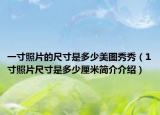 一寸照片的尺寸是多少美圖秀秀（1寸照片尺寸是多少厘米簡介介紹）