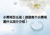 小黃雞怎么說（微信有個(gè)小黃雞是什么簡(jiǎn)介介紹）