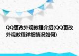 QQ更改外觀教程介紹(QQ更改外觀教程詳細(xì)情況如何)