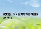 鼠災(zāi)是什么（鼠災(zāi)怎么形成的簡介介紹）